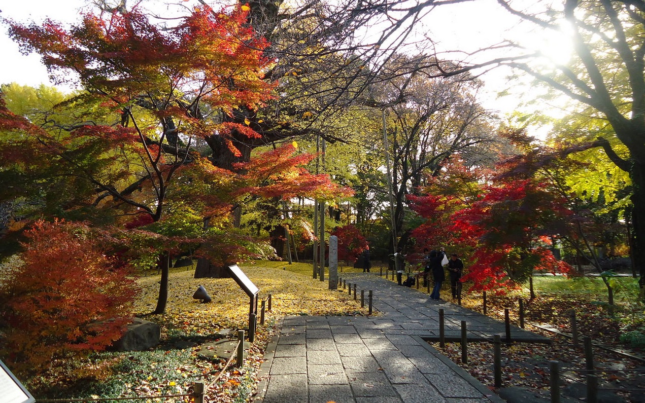 世田谷区周辺の手軽な暇つぶしスポットと名所をご紹介 東京暇つぶし【東京キリングタイム】 世田谷区周辺の手軽な暇つぶしスポットと名所をご紹介 東京暇つぶし【東京キリングタイム】