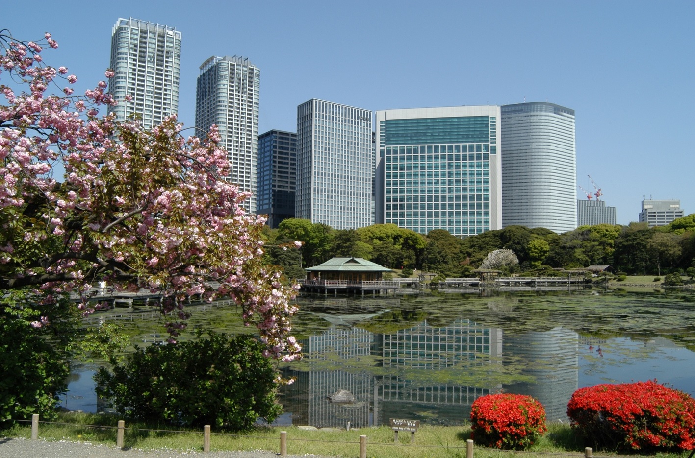 中央区_風景