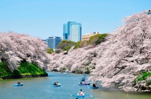 千代田区_風景