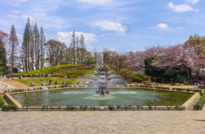 池尻大橋駅_世田谷公園_噴水広場