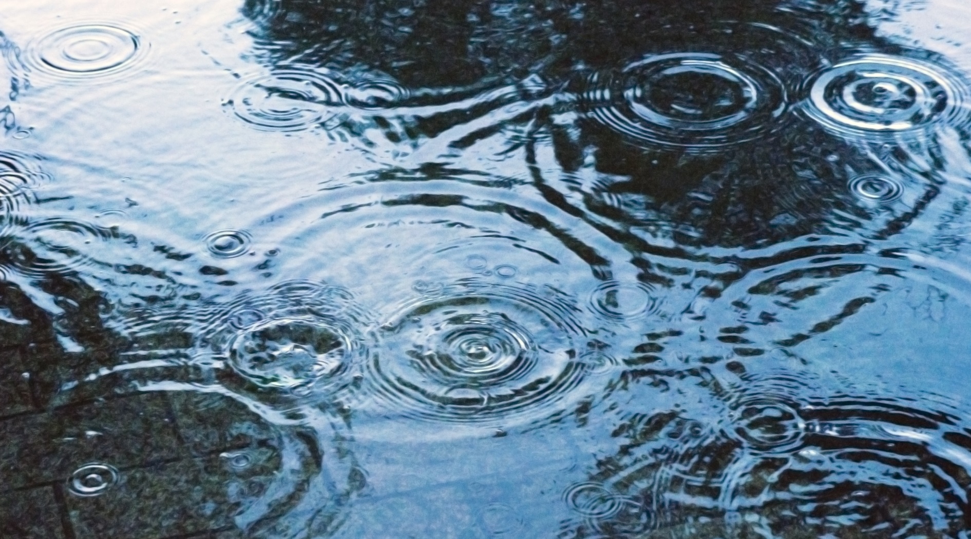 台風や雨の日の暇つぶし方法 退屈しのぎ 時間つぶし 東京暇つぶし 東京キリングタイム